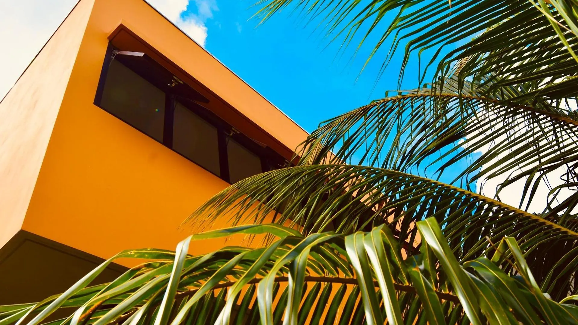 Bohemi Design Villa'S Dorp Dorp Sint Michiel Curaçao